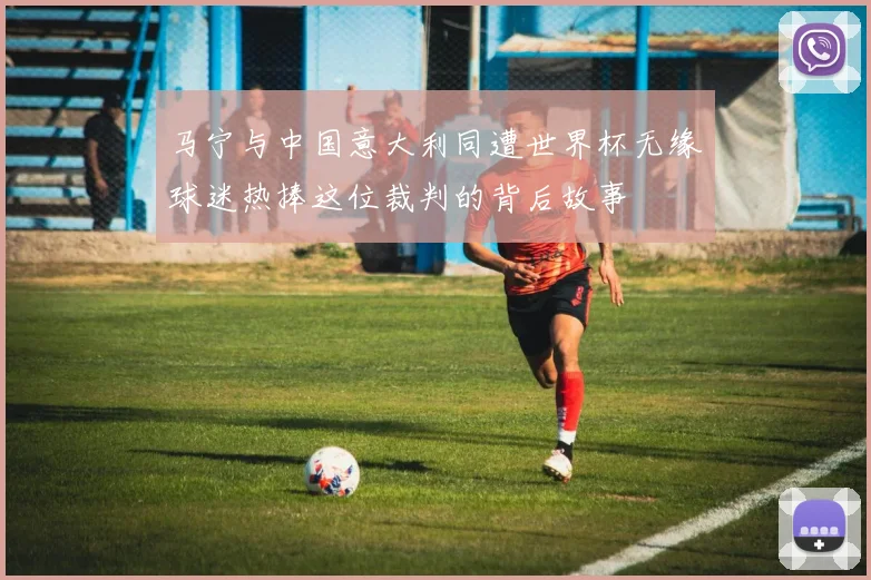 马宁与中国意大利同遭世界杯无缘球迷热捧这位裁判的背后故事