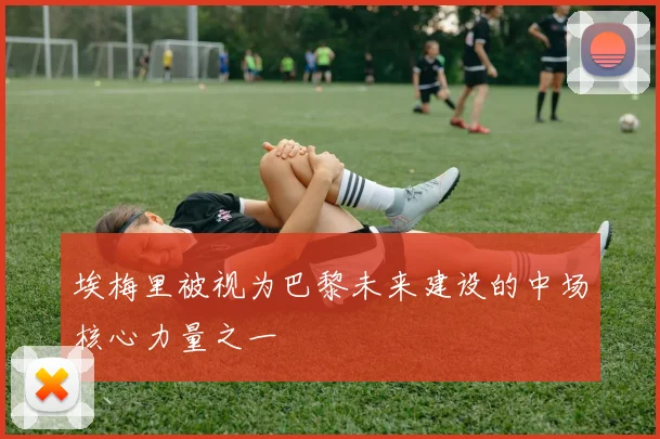 埃梅里被视为巴黎未来建设的中场核心力量之一