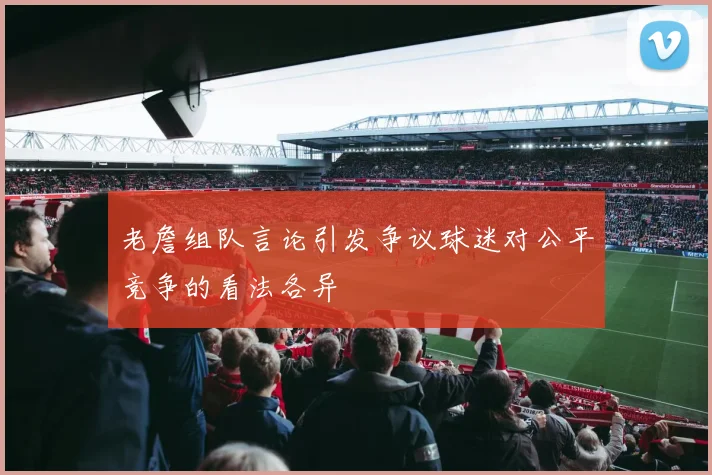 老詹组队言论引发争议球迷对公平竞争的看法各异