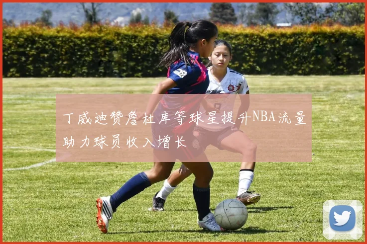 丁威迪赞詹杜库等球星提升NBA流量助力球员收入增长