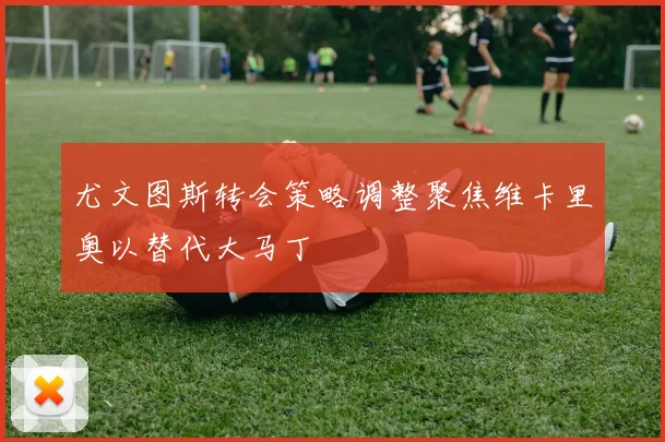 尤文图斯转会策略调整聚焦维卡里奥以替代大马丁