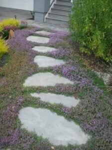 stepping-stones-garden-path