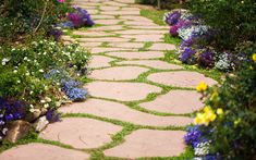 stepping-stones-garden-path