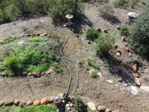 dry-creekbed-layout